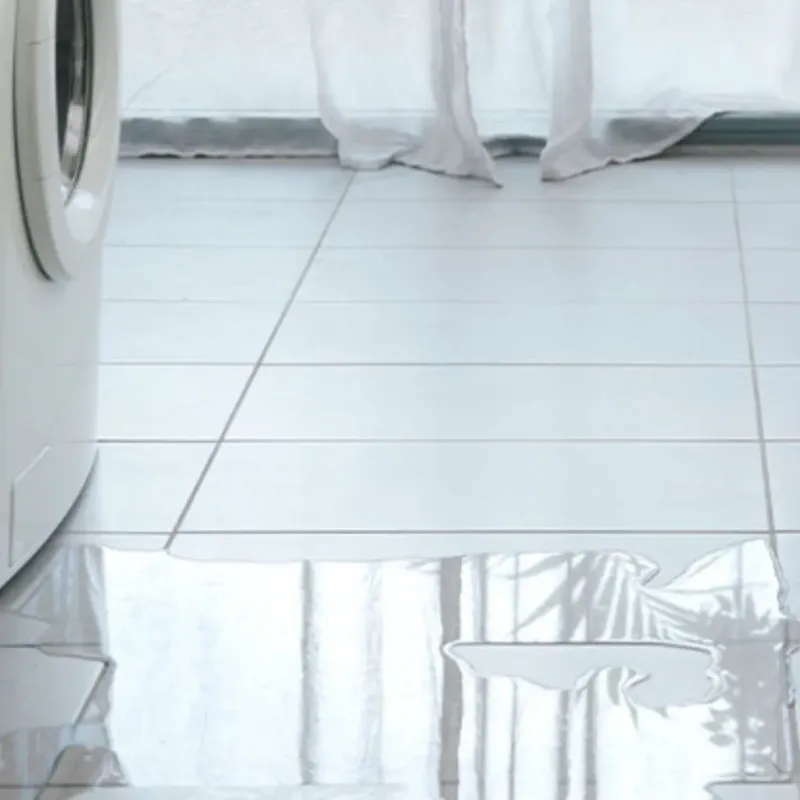 Appliance Leak Cleanup in East Naples, FL